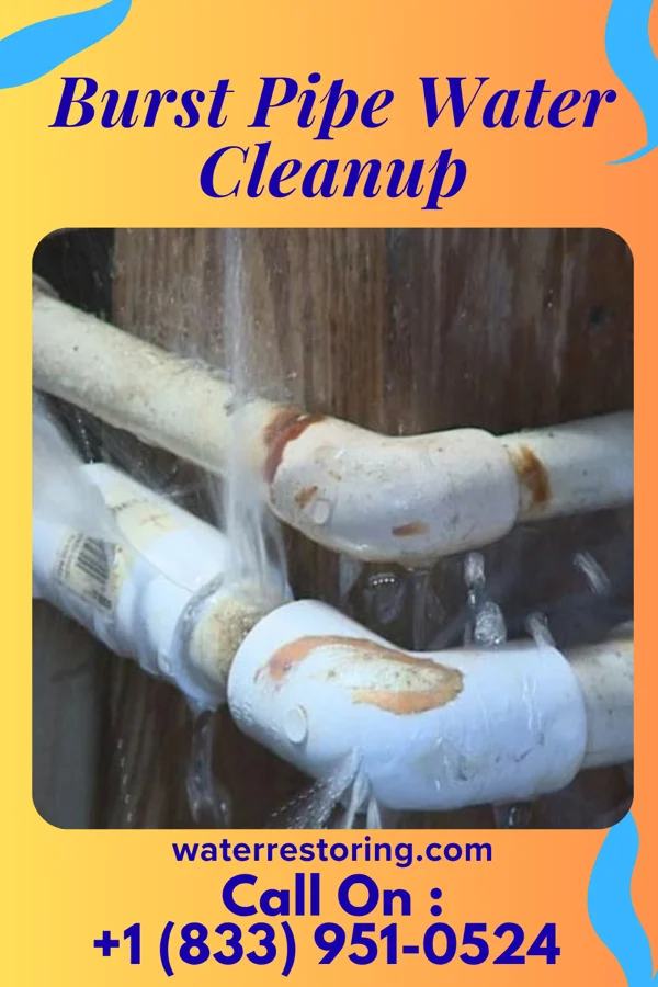 Burst Pipe Water Cleanup in Mount Prospect, IL