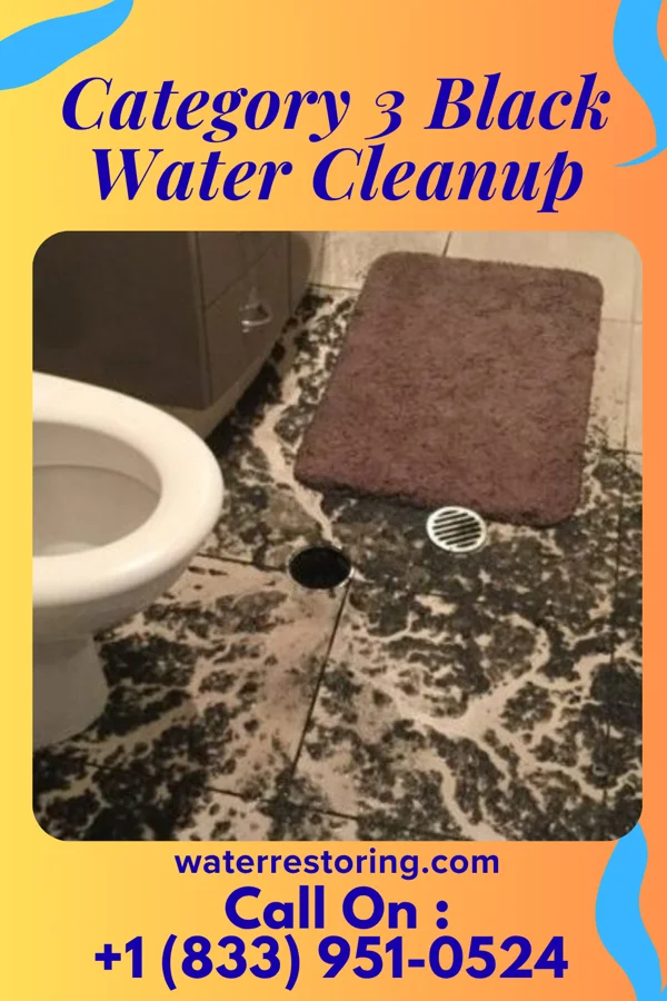 Category 3 Black Water Cleanup in Mount Prospect, IL