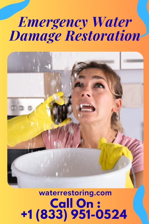 Emergency Water Damage Restoration in Mount Prospect, IL